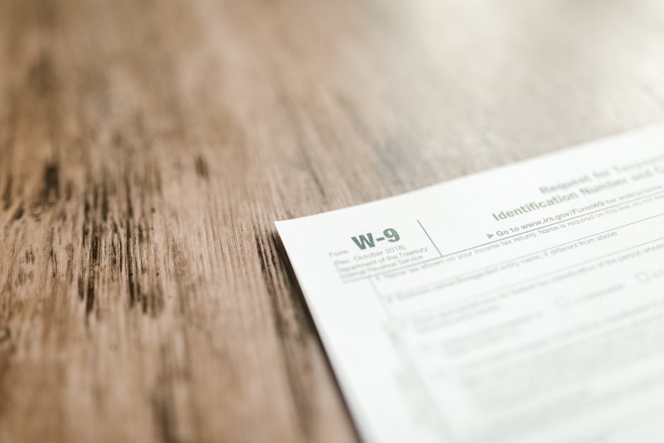 Self Assessment tax return documents and filing system